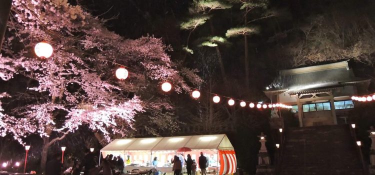 Hanami in notturna a Kinugawa-Onsen