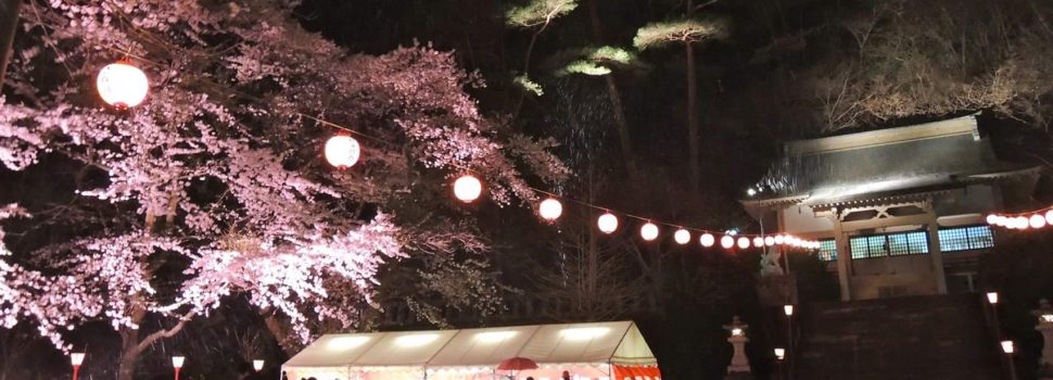 Hanami in notturna a Kinugawa-Onsen