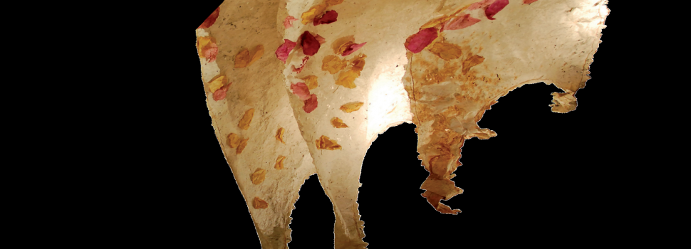 IL PAESE DELLA CARTA 紙の国