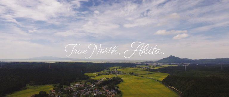 True North, Akita #1
