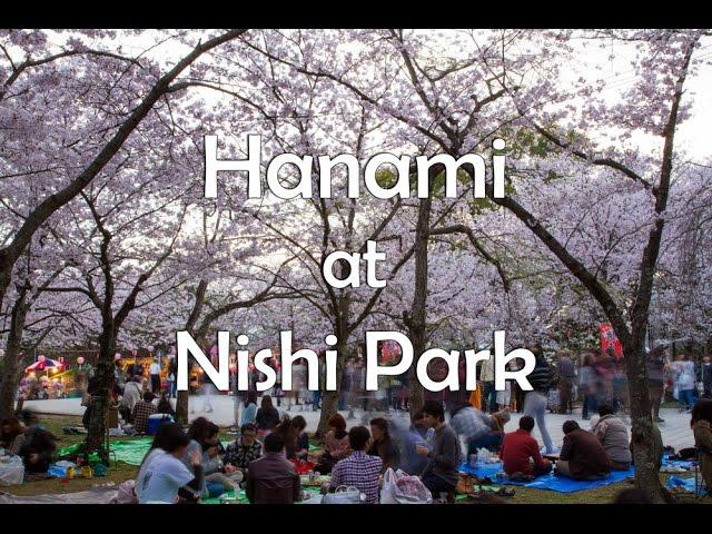 Hanami al parco Nishi