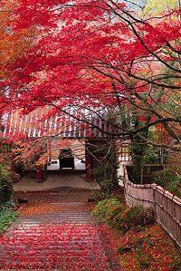 kyoto_pic_01