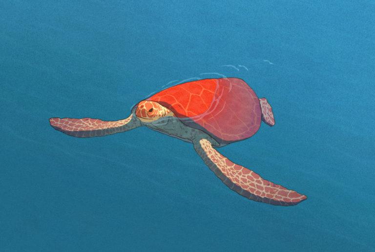 La tartaruga rossa – il nuovo film prodotto dallo Studio Ghibli