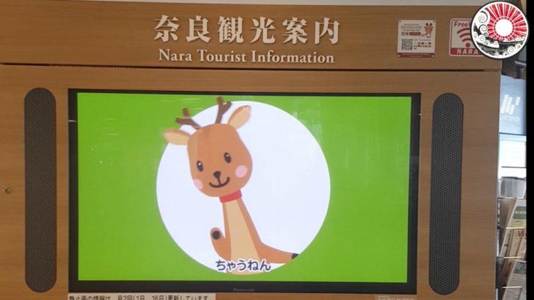 Maro-kun la simpatica mascotte di Nara