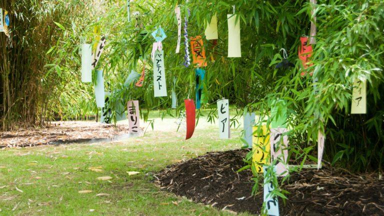 Tanabata ai Kew Gardens in Gran Bretagna