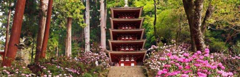Visita al tempio Muroji, atmosfera tradizionale vicino a Nara