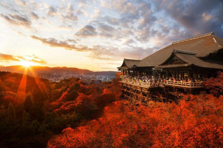 Momijigari, cos’è il momento magico dell’autunno giapponese