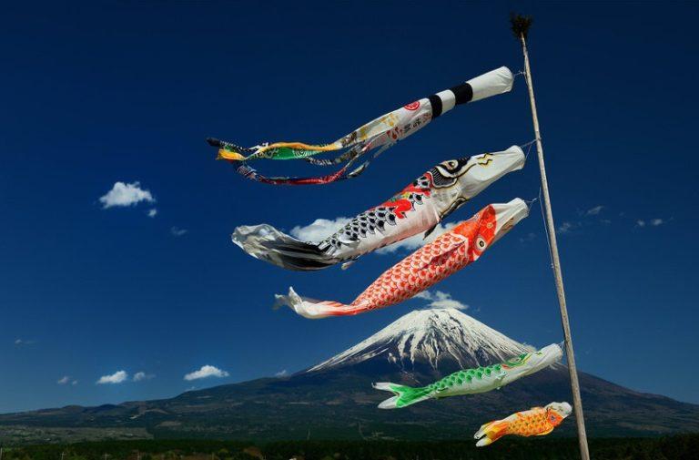 Koinobori: perché la carpa?