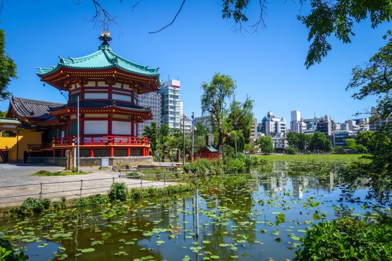 Stagno di Shinobazu – Shinobazu pond