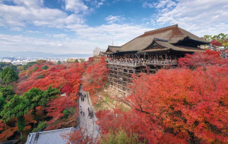 Momijigari 2018: quando vedere le foglie rosse autunnali in Giappone