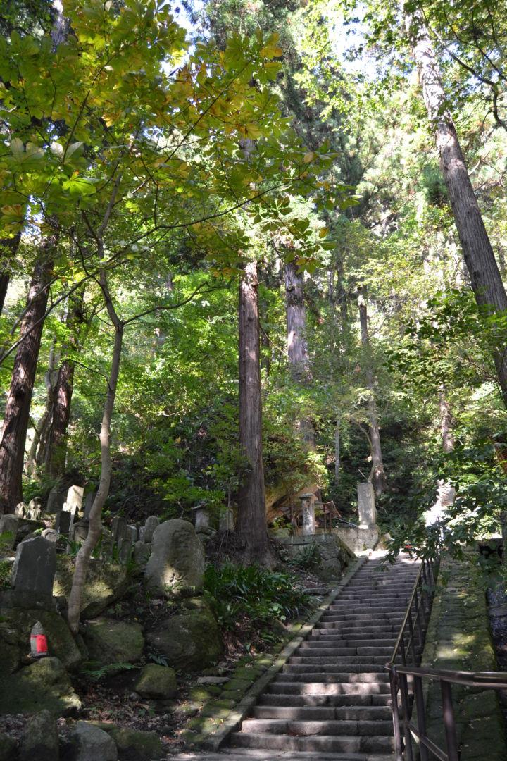 scalini yamadera yamagata autunno