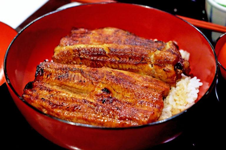 unadon unagi anguilla alla griglia ricetta