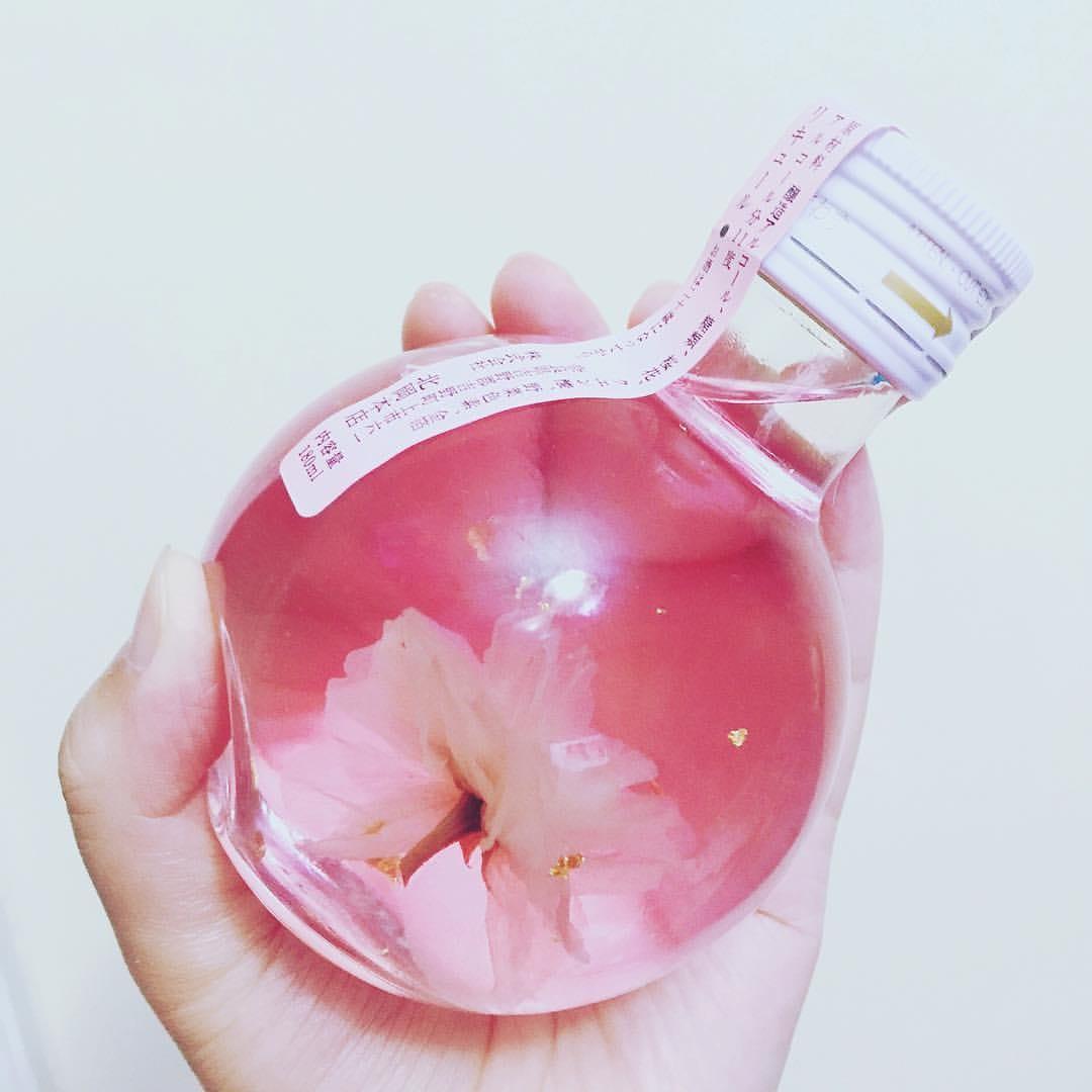 sakura sake