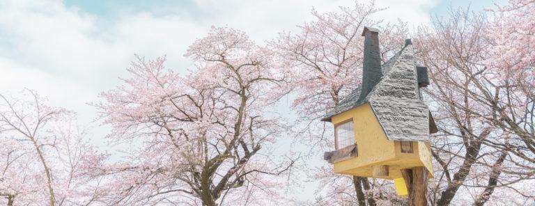 takasugi an fujimori terunobu casa sull albero