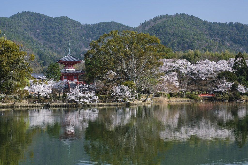 tempio Daikaku-ji visitare arashiyama