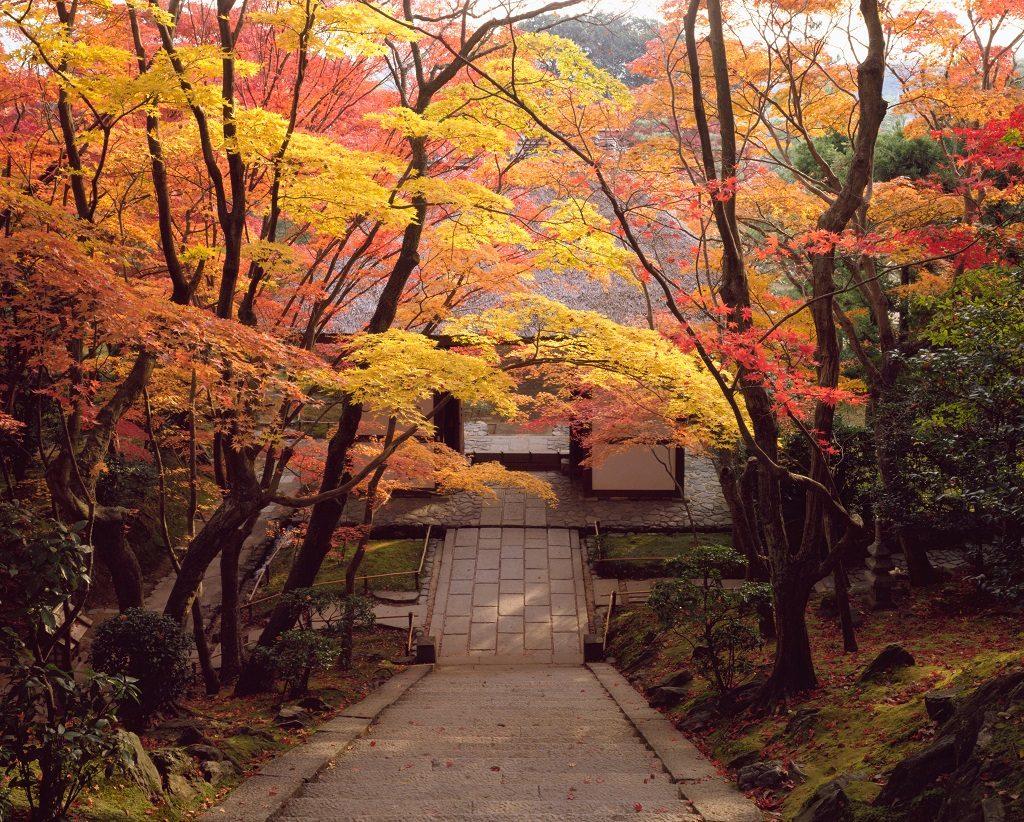 tempio Jojakko-ji visitare arashiyama in autunno