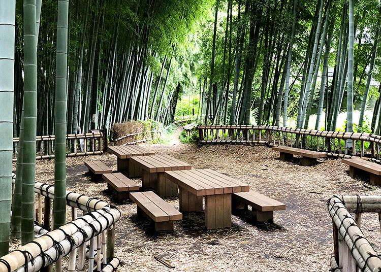 Foresta bambu Higashikurumeshi Chikurin Park