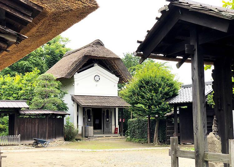 Foresta bambu Jidayubori Park