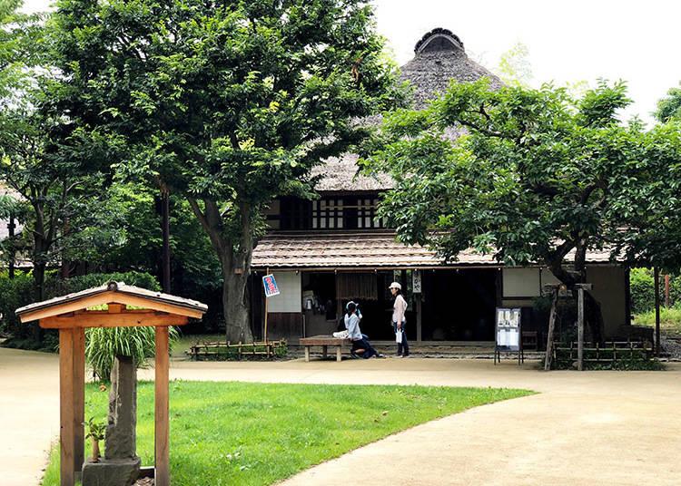 Foresta bambu Jidayubori Park