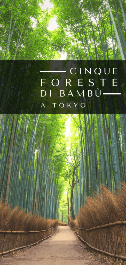 foresta bambu tokyo