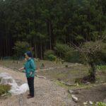 yanagi-6