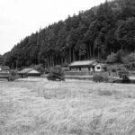 yanagi2-2