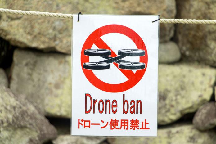 drone-portare-in-giappone-in-viaggio portare drone viaggio in giappone volare