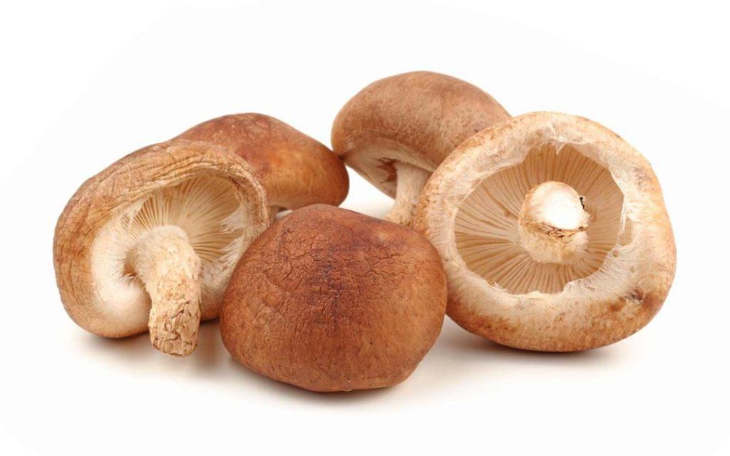 funghi shiitake dispensa giapponese
