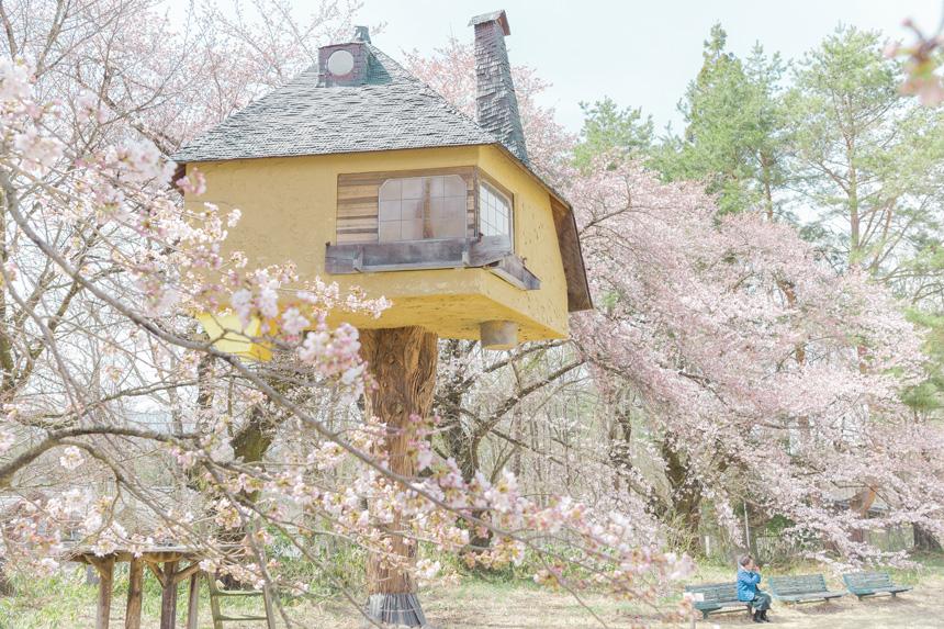 terunobu fujimori casa da te architettura giapponese

