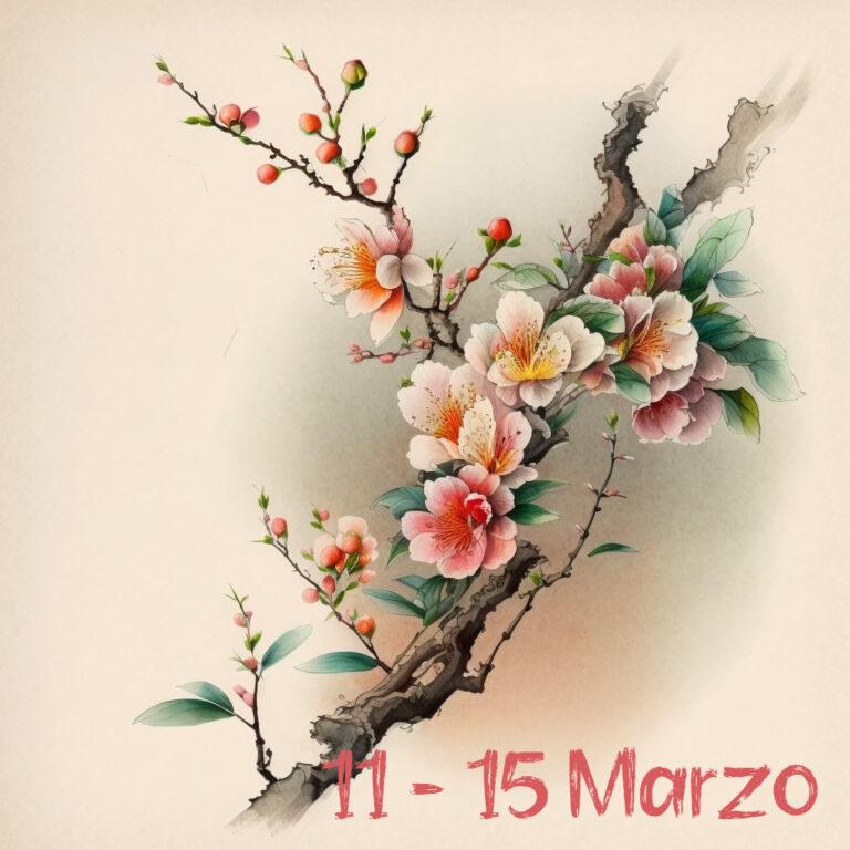 72 stagioni giapponesi primi fiori di pesco sbocciano