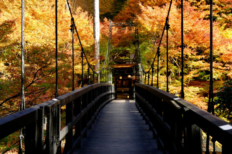 passeggiate foliage autunno kyoto osaka e nara