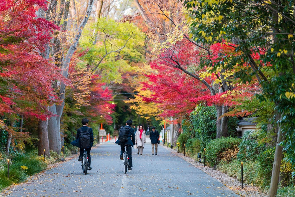 passeggiate foliage autunno kyoto osaka e nara